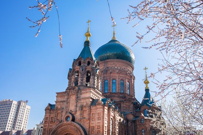 哈尔滨最靠谱旅行社怎么选？首选蒙旅资质口